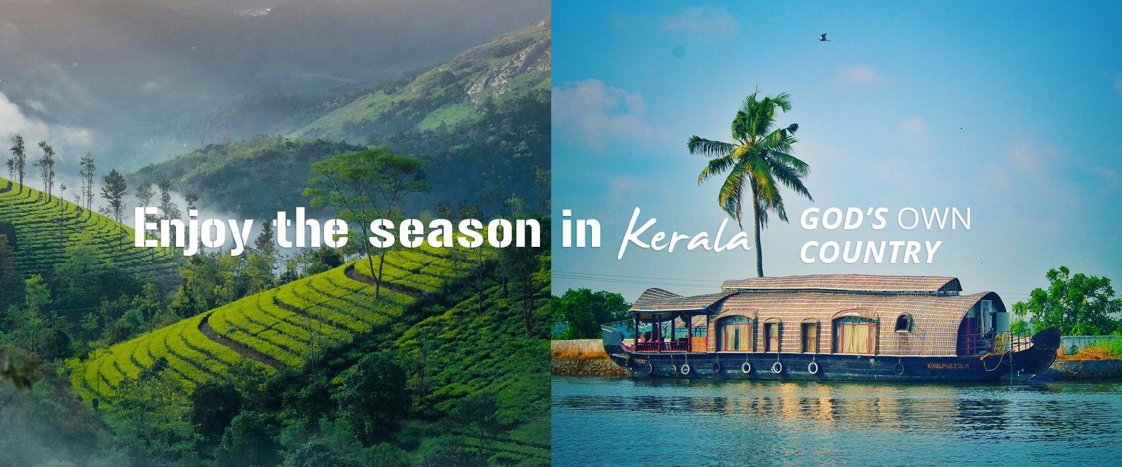 kerala budget travel munnar